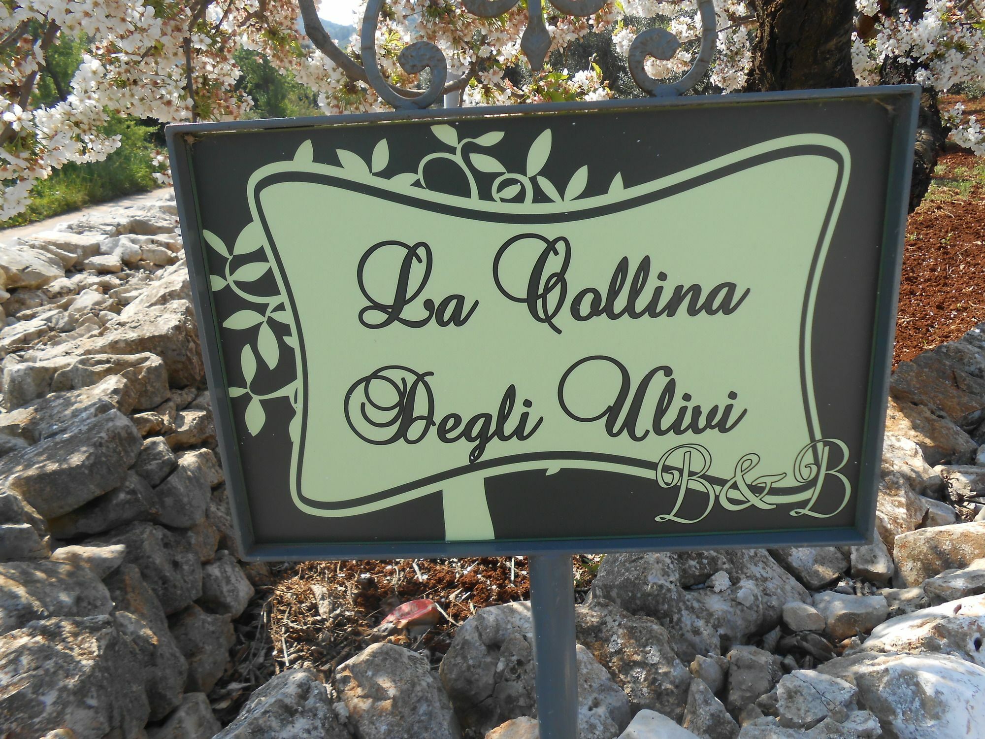 La Collina Degli Ulivi Apartman Fasano Kültér fotó